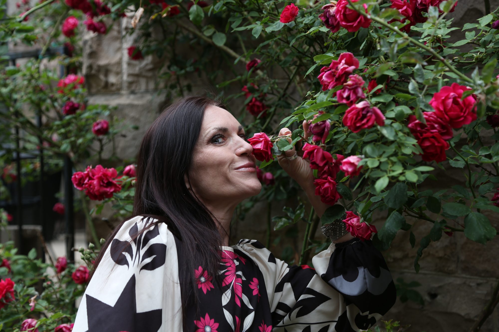 Roses in the Castle Marne garden